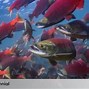 Apakah Ikan Salmon Ada Di Laut Indonesia