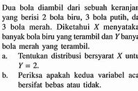 Bola Yang Menggambarkan Dua Bagian Yang Sama Dalam Sebuah Susunan Disebut